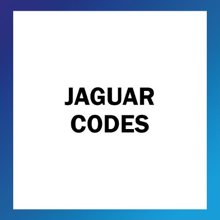 Picture for category Jaguar Codes