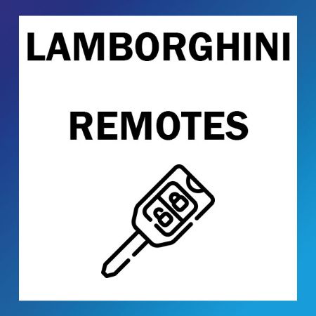 Picture for category Lamborghini Remotes