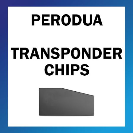 Picture for category Perodua Transponder Chips