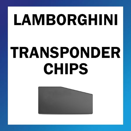 Picture for category Lamborghini Transponder Chips
