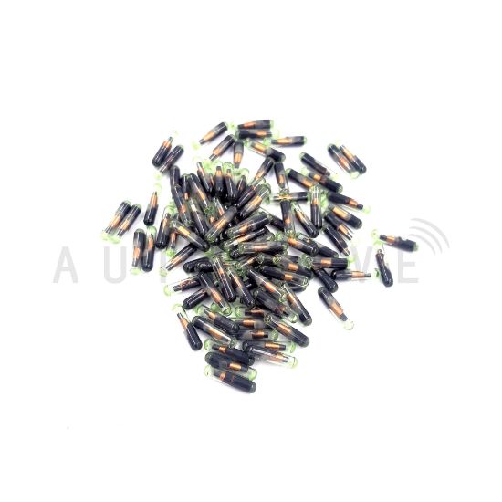 Picture of Skoda Megamos ID48 TP24 Glass CAN Transponder Chip