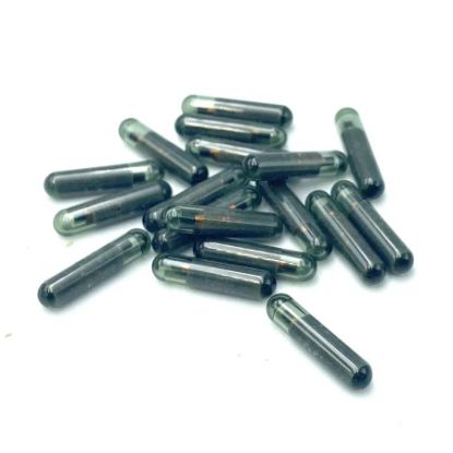 Picture of 8E Glass Transponder Chip