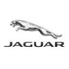 Picture of Jaguar Incode by Outcode