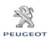Picture of Peugeot Key Code