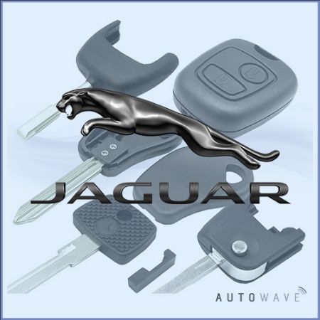 Picture for category Jaguar Remote Parts & Cases