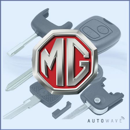 Picture for category MG Remote Parts & Cases