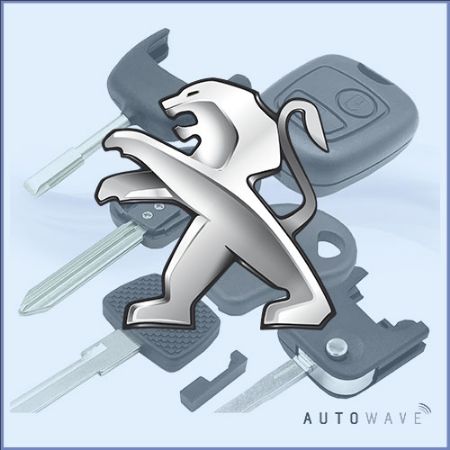 Picture for category Peugeot Remote Parts & Cases