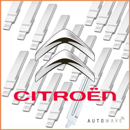 Picture for category Citroen Blades