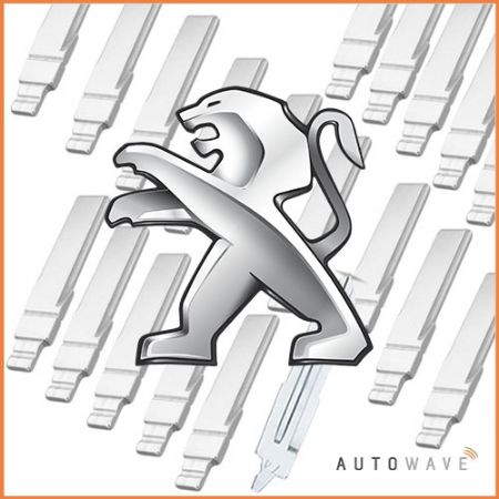 Picture for category Peugeot Blades